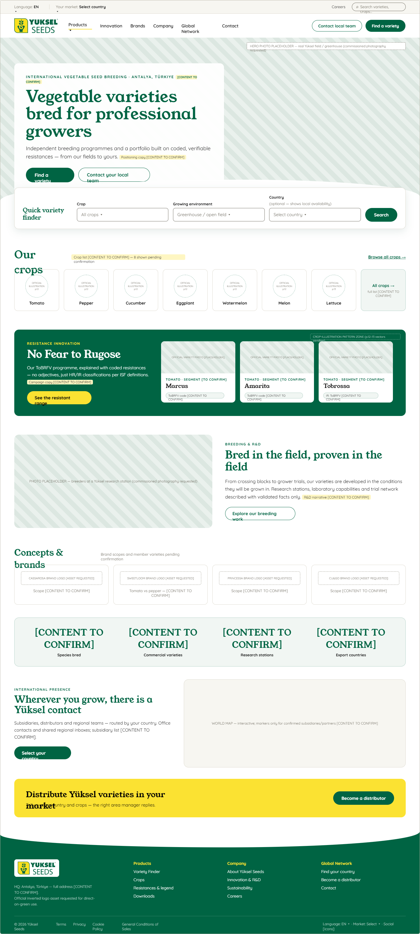 Desktop homepage full preview