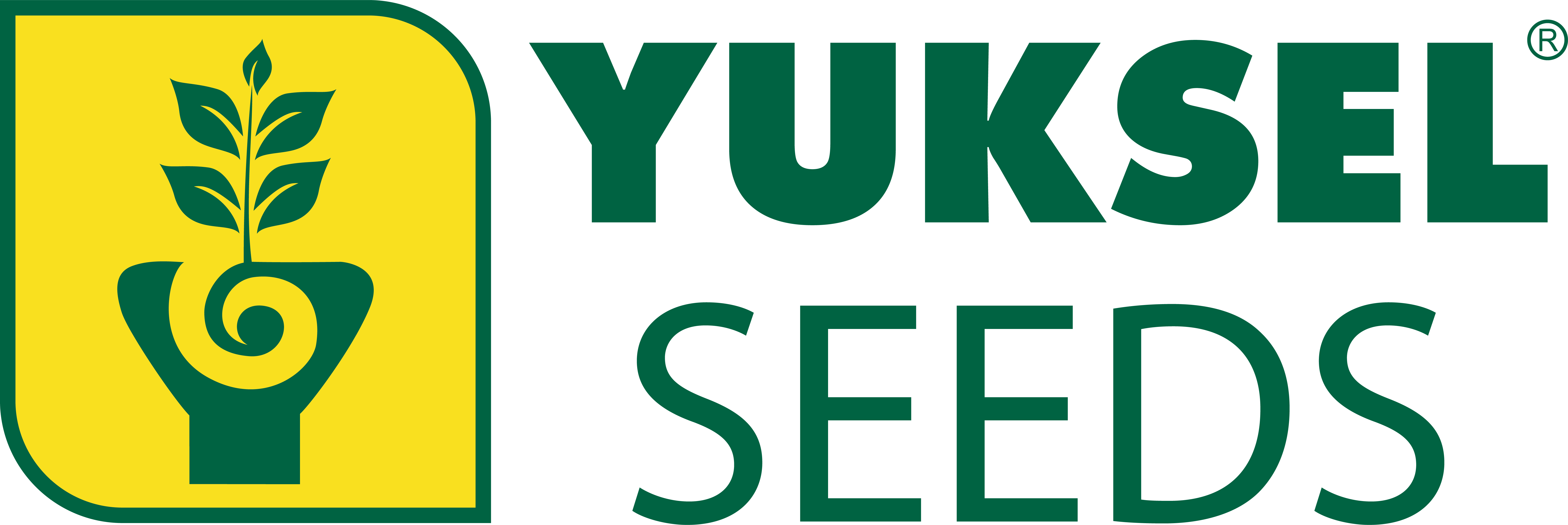 Yüksel Seeds